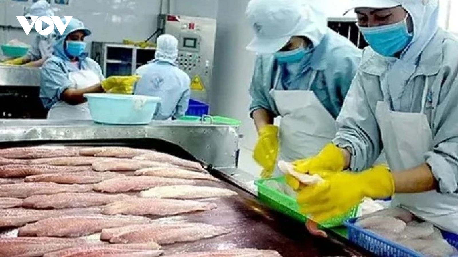 China retains top spot in Vietnamese Tra fish exports